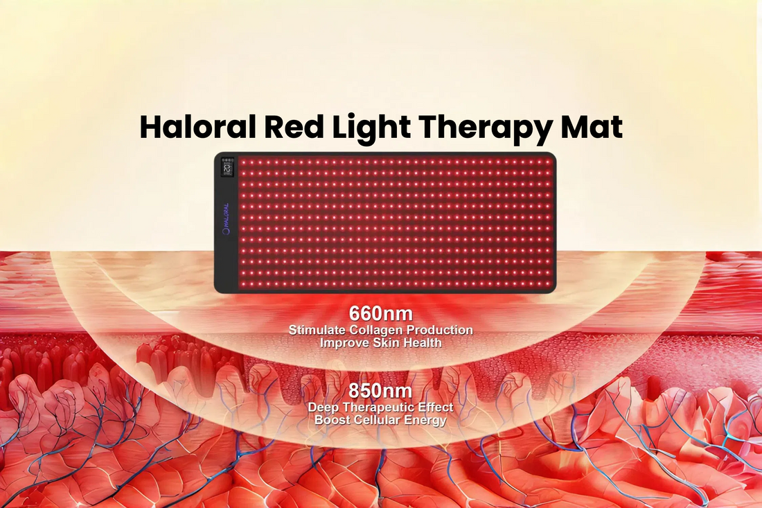 Haloral Red Light Therapy Mat — designed to enhance relaxation, relieve muscle tension, and promote full-body recovery with advanced red light therapy and vibration massage technology.