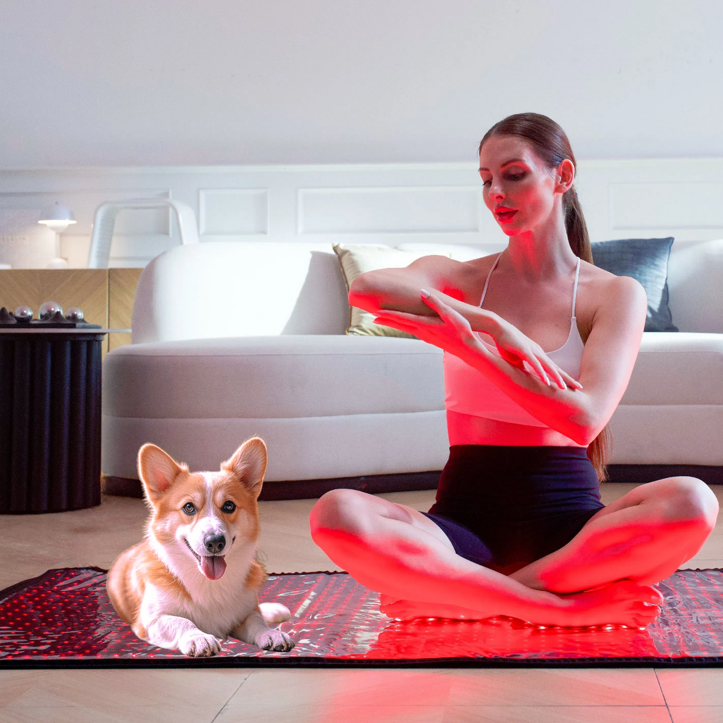 A dog resting on the Haloral Red Light Therapy Mat, benefiting from vet-approved red light therapy for anxiety relief and faster wound healing