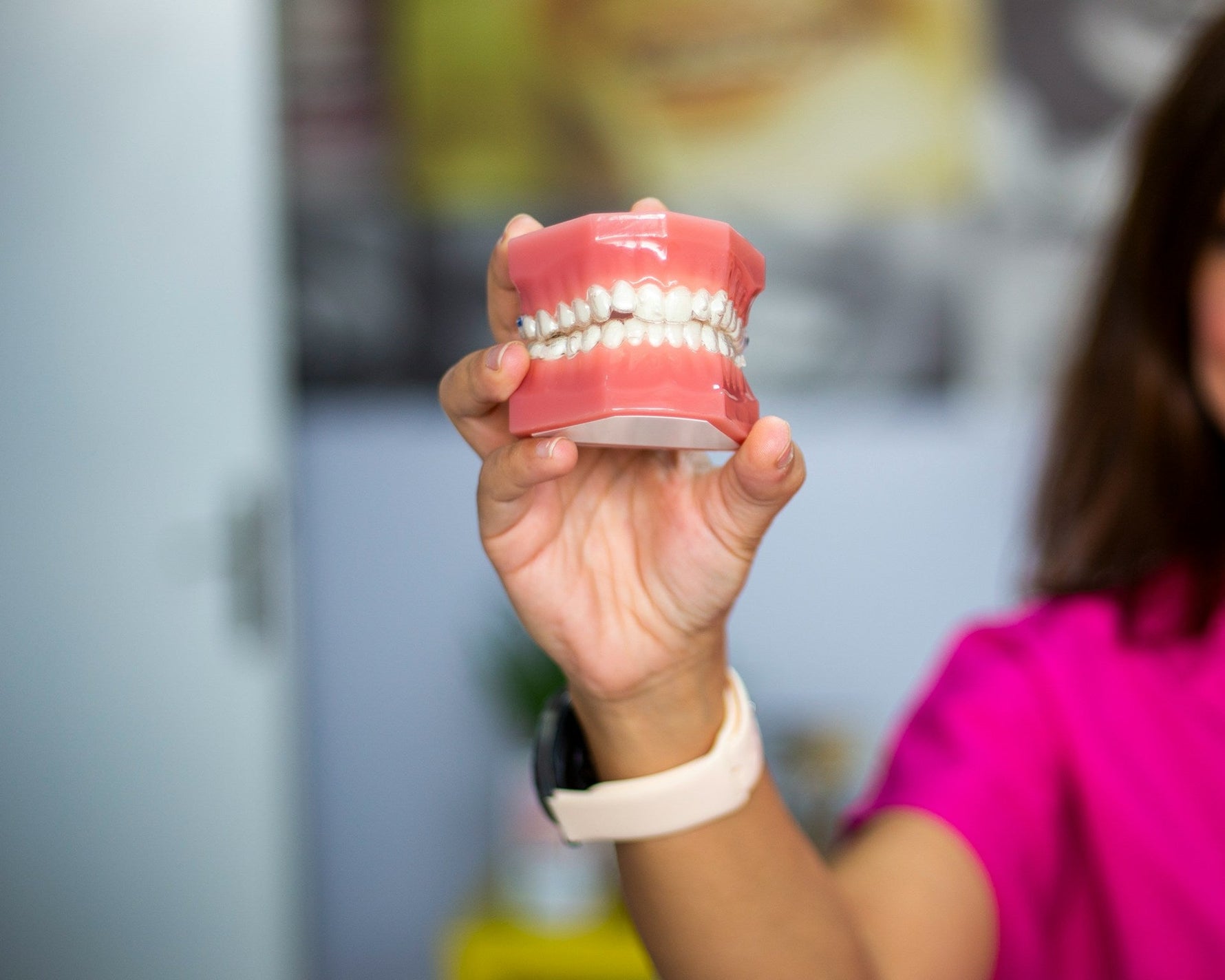 Close-up of a dental professional holding a model of human teeth, demonstrating oral health care concepts such as teething grinding also known as bruxism.