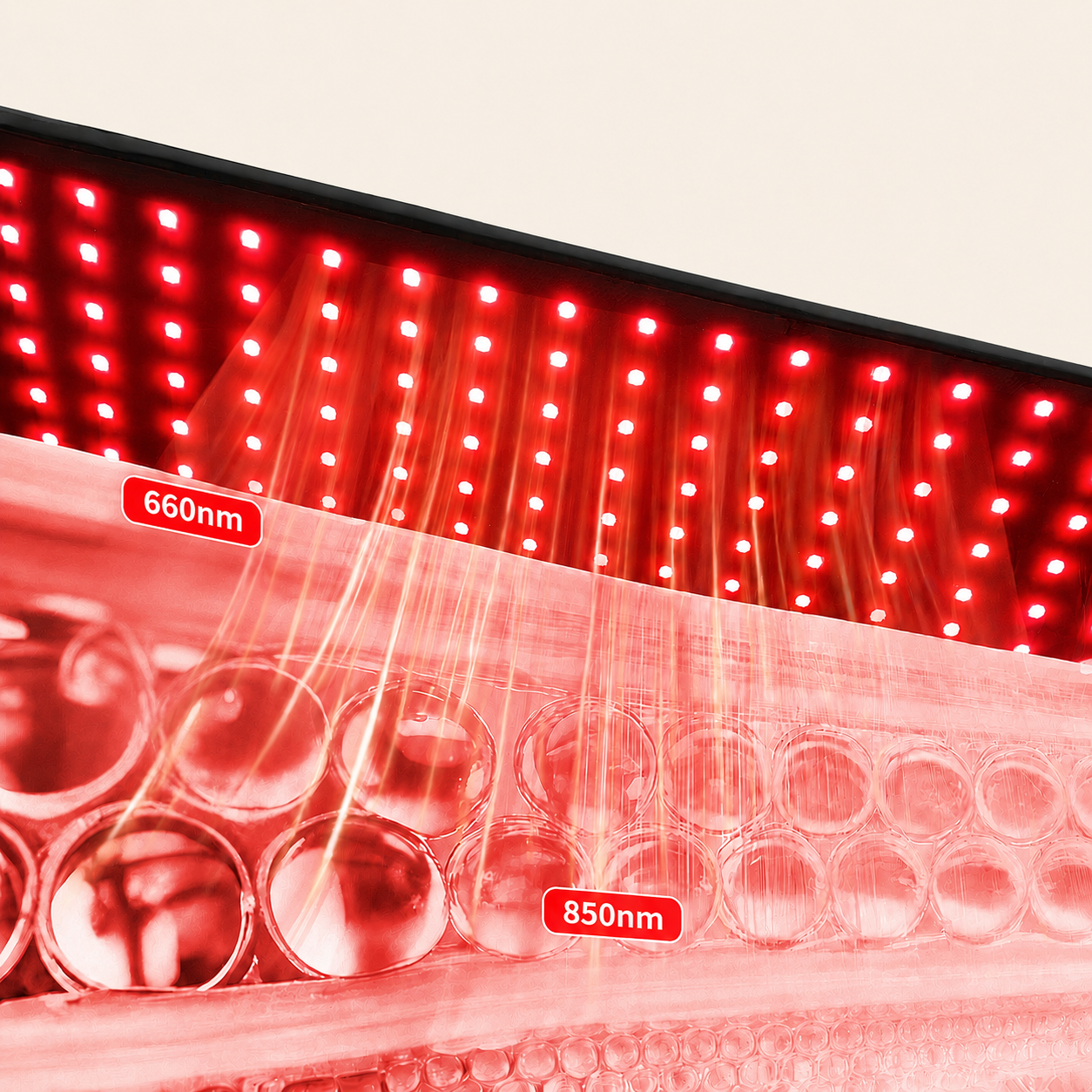 Red Light Therapy