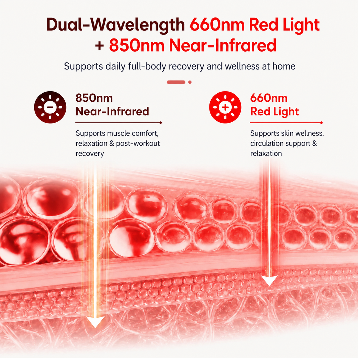Haloral red and infrared light therapy technology showing dual-wavelength 660nm red light and 850nm near-infrared light for full-body wellness and recovery.