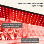 Haloral advanced red and near-infrared light therapy belt showing 660nm and 850nm wavelengths for deep tissue muscle recovery