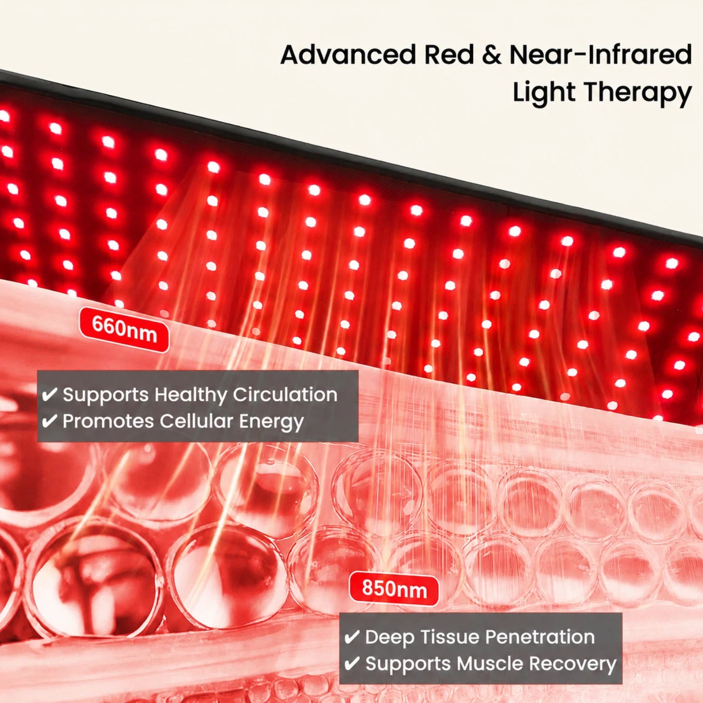 Haloral advanced red and near-infrared light therapy belt showing 660nm and 850nm wavelengths for deep tissue muscle recovery