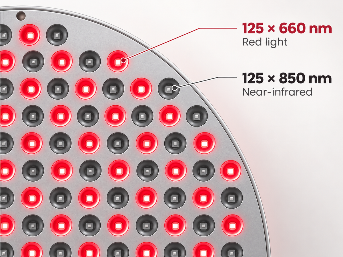 Circular array of 250 red and near-infrared LEDs